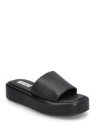 Beachy Slides Rantasandaalit Pistokkaat Black Steve Madden