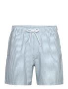 Hco. Guys Swim Uimashortsit Blue Hollister