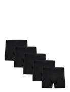 Claudio 5-Pack Tights Bokserit Black Claudio