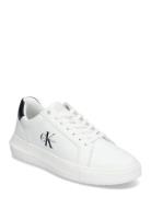 Chunky Cupsole Mono Lth Matalavartiset Sneakerit Tennarit White Calvin...