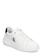 Chunky Cupsole Mono Lth Wn Matalavartiset Sneakerit Tennarit White Cal...