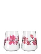 Sommerrausch Waterglass 2-Pack Home Tableware Glass Drinking Glass Nud...