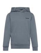 Borg Essential 4 Hoodie Sport Sweat-shirts & Hoodies Hoodies Blue Björ...