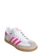 Samba Og C Sport Sneakers Low-top Sneakers Pink Adidas Originals