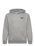Ess Small No. 1 Logo Relaxed Hoodie Fl B Tops Sweat-shirts & Hoodies H...