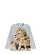 Reif Tops T-shirts Long-sleeved T-shirts Blue Molo