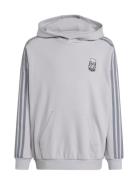 Hoodie Tops Sweat-shirts & Hoodies Hoodies Grey Adidas Originals