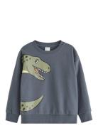 Sweatshirt Dino Placement Tops Sweat-shirts & Hoodies Sweat-shirts Gre...