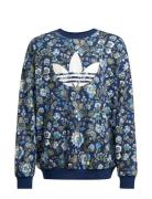 Crew Tops Sweat-shirts & Hoodies Sweat-shirts Blue Adidas Originals