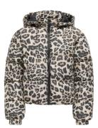 Kogdalia Sht Puffer Aop Jacket Otw Noos Toppatakki Multi/patterned Kid...