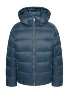 Ls Nylon Zip Off Hood Down Puffe Vuorillinen Takki Topattu Takki Navy ...