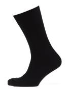 Claudio Socks Solid Colours. Underwear Socks Regular Socks Black Claud...