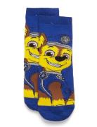 Socks Jarrusukat Blue Paw Patrol