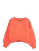 Sweater Bright Tops Sweat-shirts & Hoodies Sweat-shirts  Indian Blue J...
