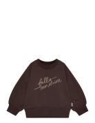 Ppdina Sweat Shirt Tops Sweat-shirts & Hoodies Sweat-shirts Brown Peti...