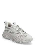 Possession-E Matalavartiset Sneakerit Tennarit Grey Steve Madden