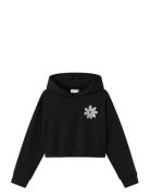 Nkfkory Ls Crop Boxy Swe Wh Bru Ps Noos Tops Sweat-shirts & Hoodies Ho...