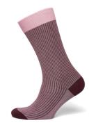 Cph Socks 8 Cotton Blend Burgundy Lingerie Socks Regular Socks Pink Co...