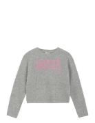 Pullover Knit Tops Sweat-shirts & Hoodies Sweat-shirts Grey Creamie