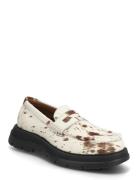 Raiden Loaferit Matalat Kengät Brown Steve Madden