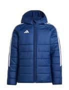 Tiro24 Wintjkty Toppatakki Blue Adidas Performance