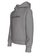 Inst. Logo Reg. Terry Hoodie Tops Sweat-shirts & Hoodies Hoodies Grey ...