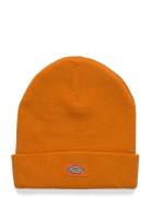 M Gibsland Beanie Accessories Headwear Beanies Orange Dickies