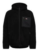 M Central High Pile Hooded Ohut Takki Black Dickies