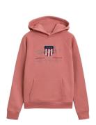 Archive Shield Hoodie Tops Sweat-shirts & Hoodies Hoodies Multi/patter...