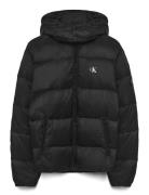 Essentials Down Jacket Vuorillinen Takki Topattu Takki Black Calvin Kl...