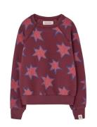 Stars Shark Sweatshirt Tops Sweat-shirts & Hoodies Sweat-shirts Burgun...