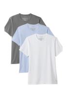 S/S Crew Neck 3Pk Tops T-shirts Short-sleeved White Calvin Klein